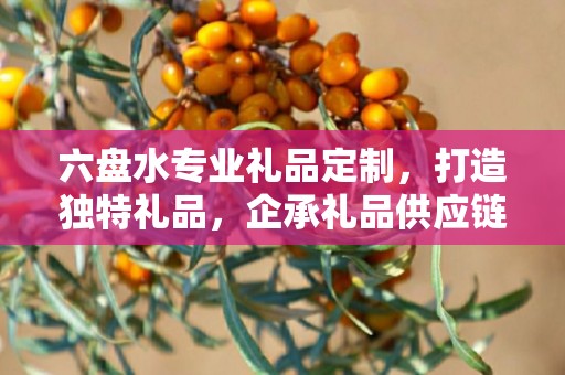六盘水专业礼品定制，打造独特礼品，企承礼品供应链