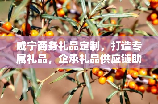 咸宁商务礼品定制，打造专属礼品，企承礼品供应链助力商务往来