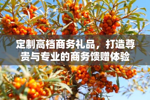 定制高档商务礼品，打造尊贵与专业的商务馈赠体验